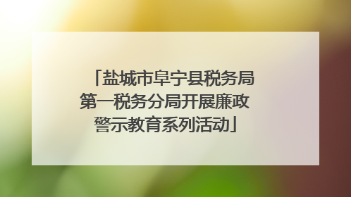 盐城市阜宁县税务局第一税务分局开展廉政警示教育系列活动